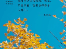 烈焰之路，勇往直前的简单介绍